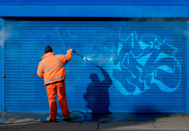 Best Garage Pressure Washing  in Dewitt, AR